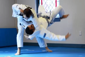 Belt systems in Jiu Jitsu