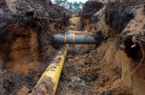 cracked sewer line symptoms