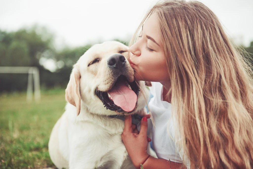 Advantages of Eco-Friendly Pet Cremation for Travelers
